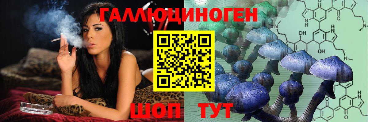 Галлюциногенные грибы GOLDEN TEACHER  Вход с VPN  Отрадный  Галлюциногенные грибы Psilocybe 